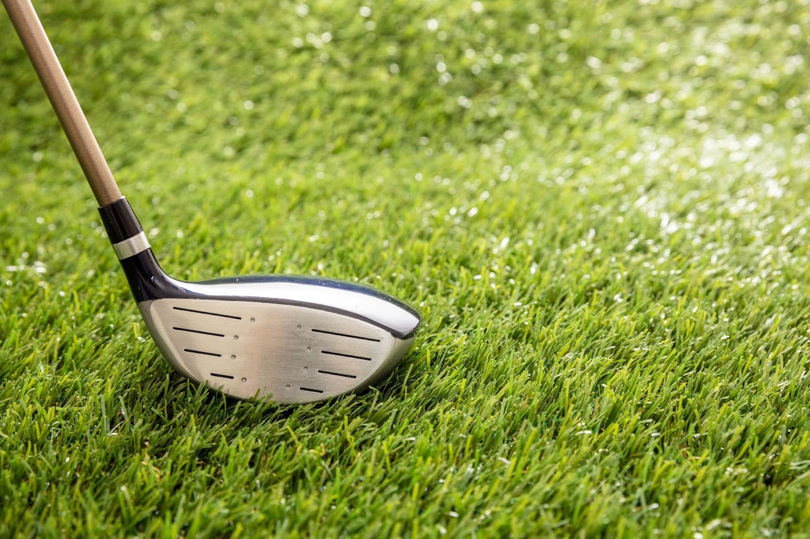 Golf Club Image